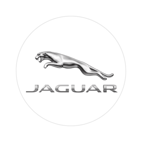 Jaguar - Adrian 